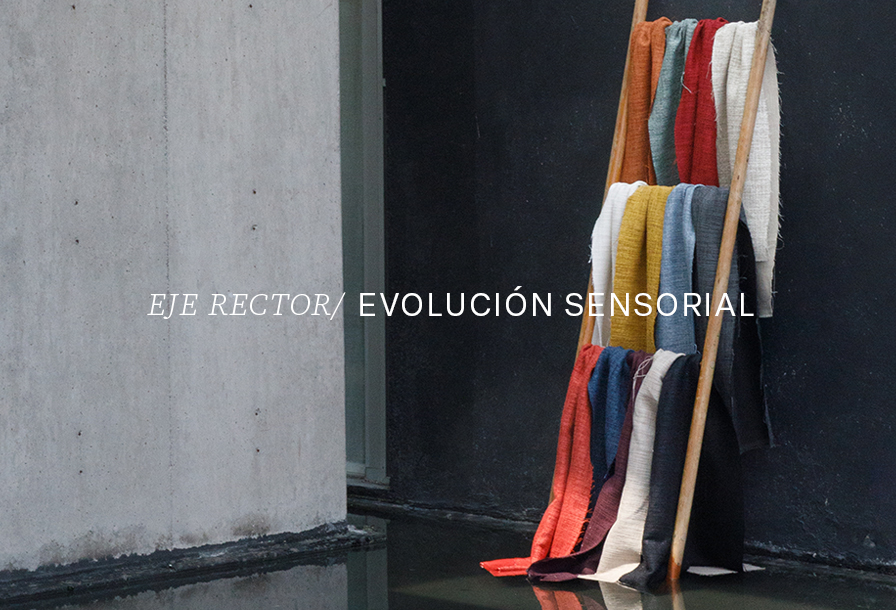 Banner Ediciones Móvil