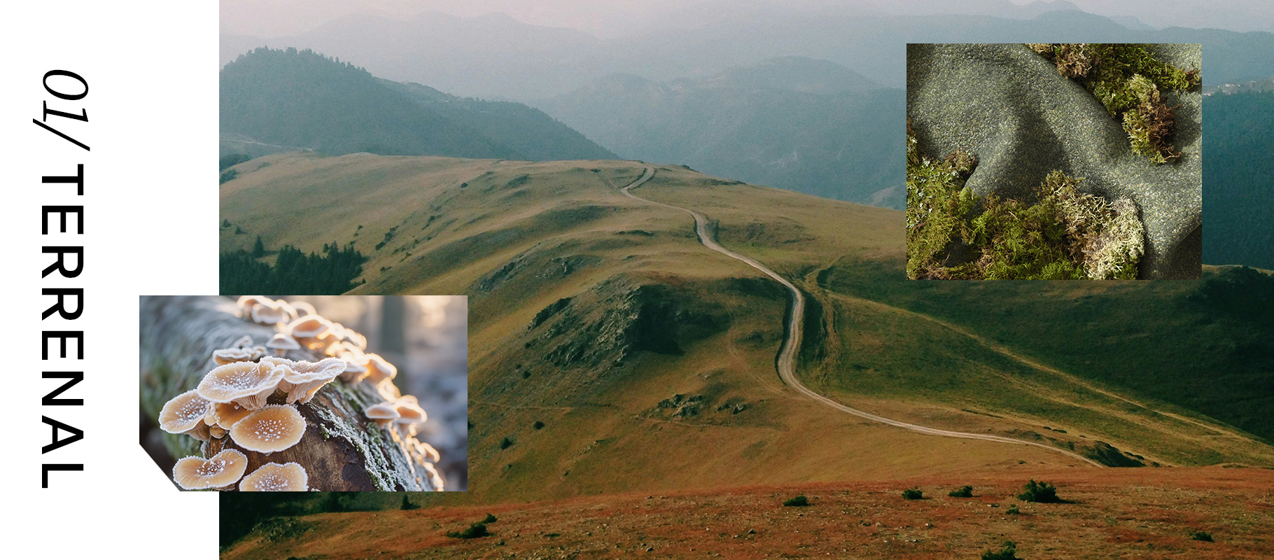 Banner TERRENAL Móvil